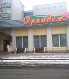 orhideya-1